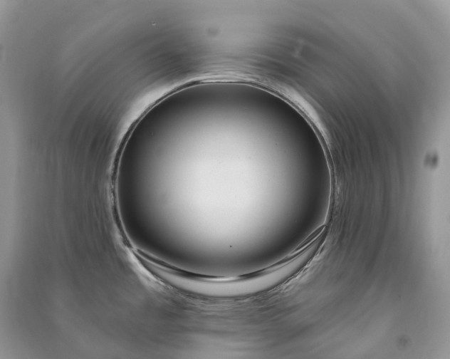 X0000090931485200708131443