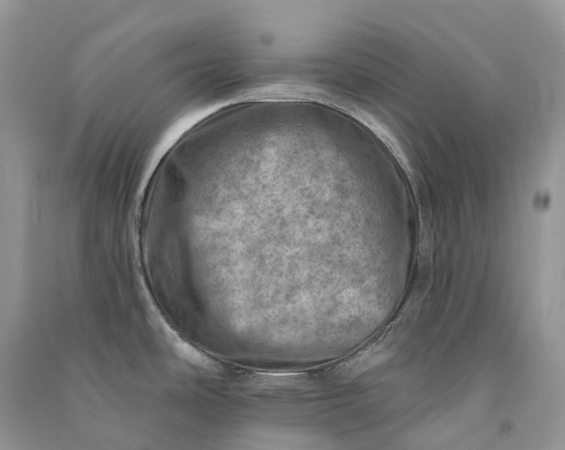 X0000090931486200708131443