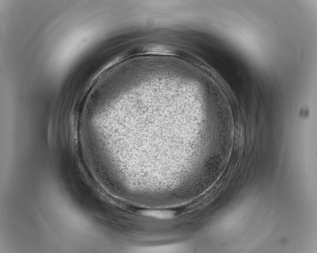 X0000090931487200708131443