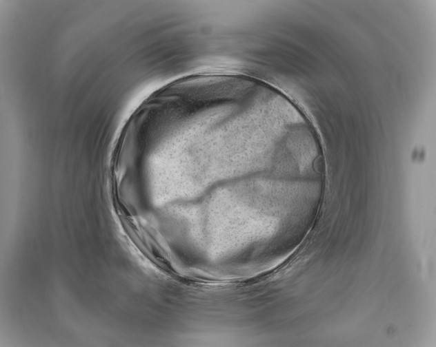 X0000090931488200708131443