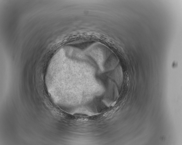 X0000090931489200708131443