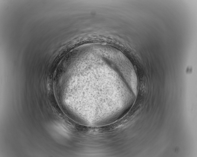 X0000090931490200708131443