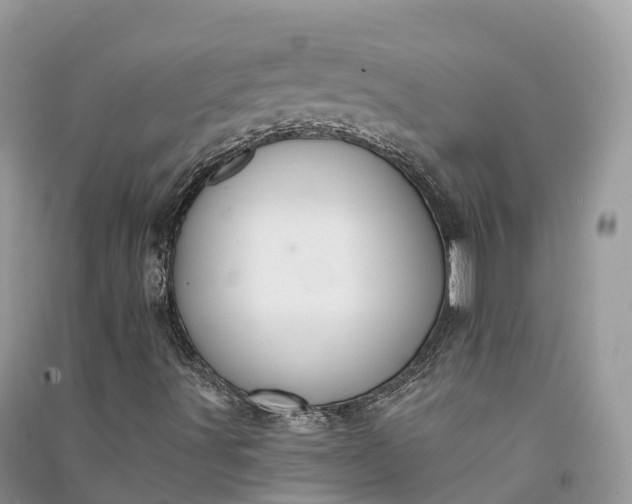 X0000090931491200708131443