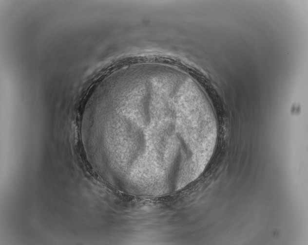 X0000090931493200708131443