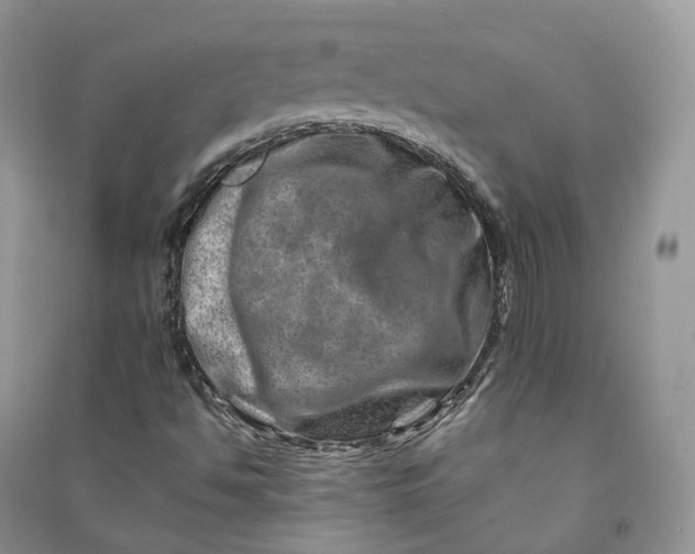 X0000090931494200708131443