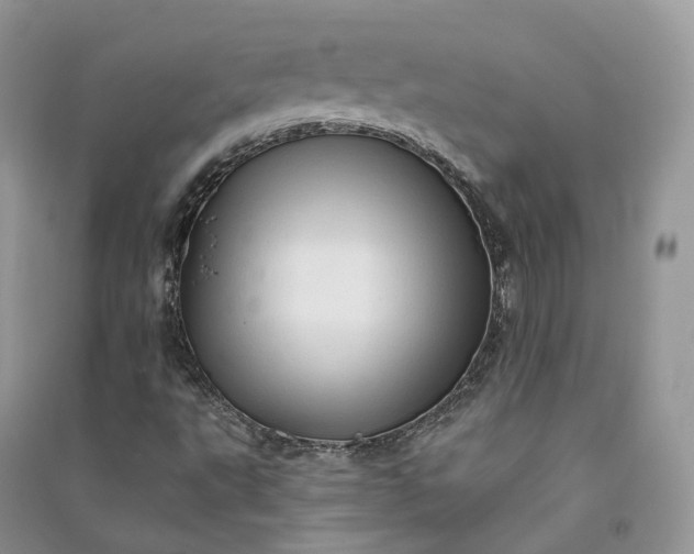 X0000090931495200708131443