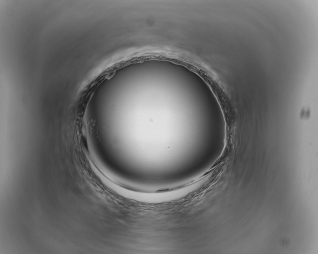 X0000090931496200708131443