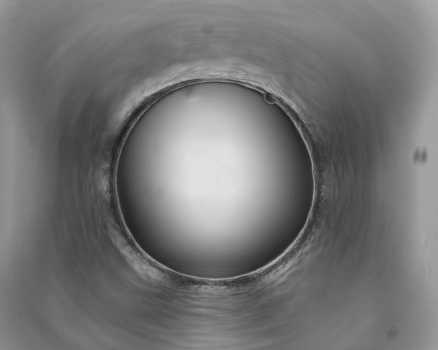 X0000090931499200708131443