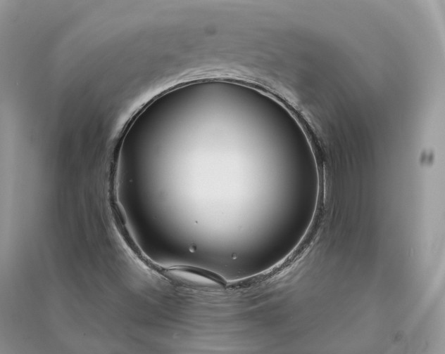 X0000090931500200708131443