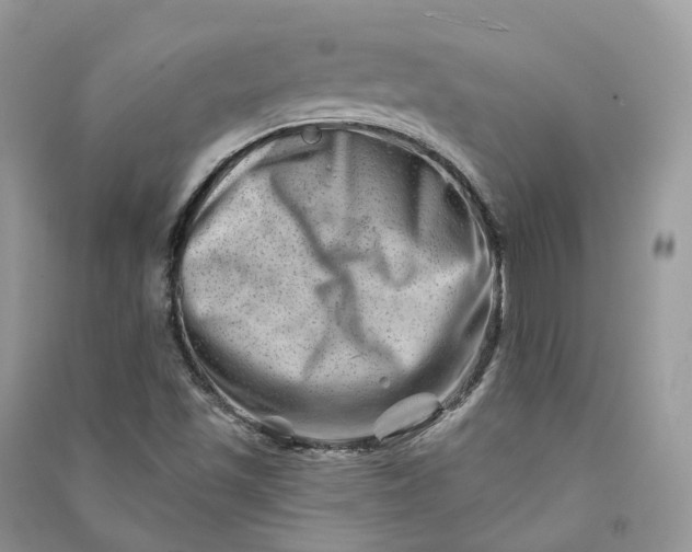 X0000090931501200708131443