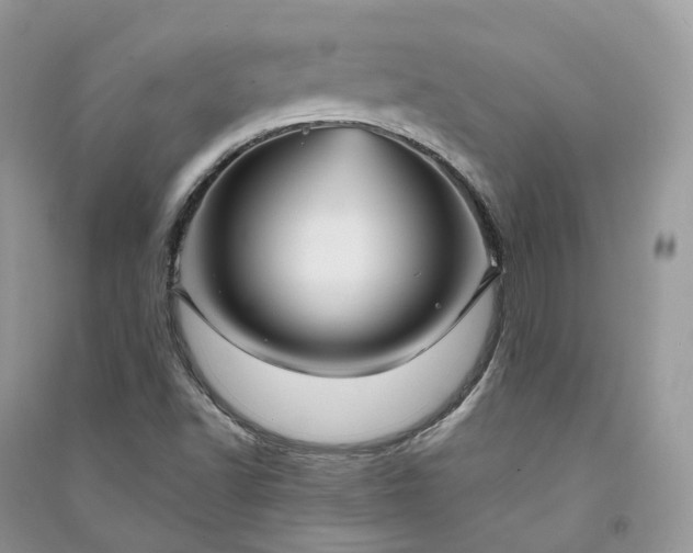 X0000090931502200708131443