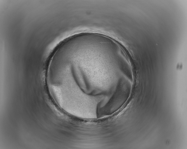 X0000090931503200708131443
