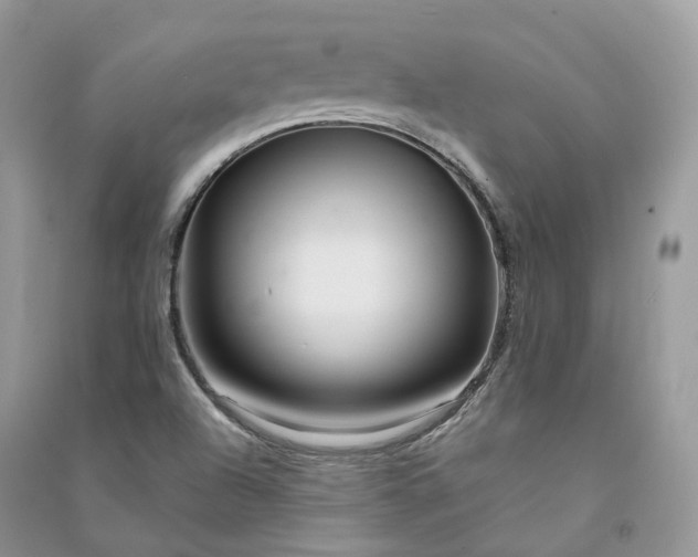 X0000090931504200708131443