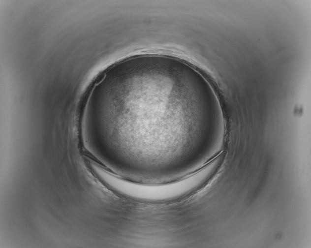 X0000090931506200708131443