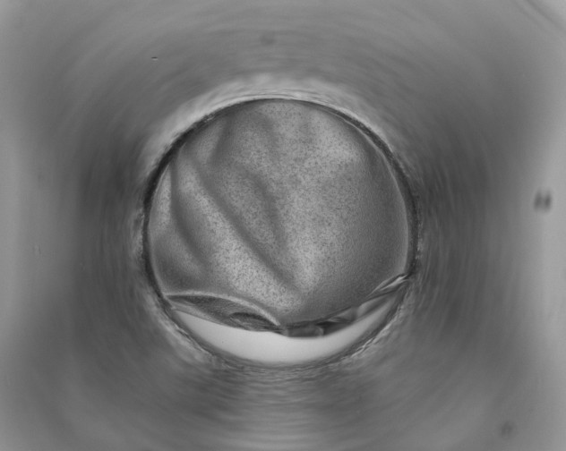 X0000090931507200708131443