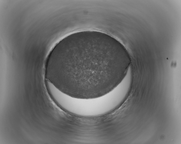 X0000090931508200708131443