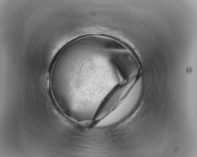 X0000090931509200708131443