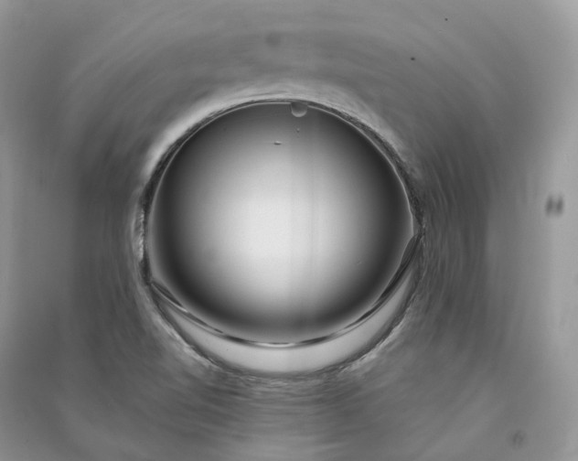 X0000090931510200708131443