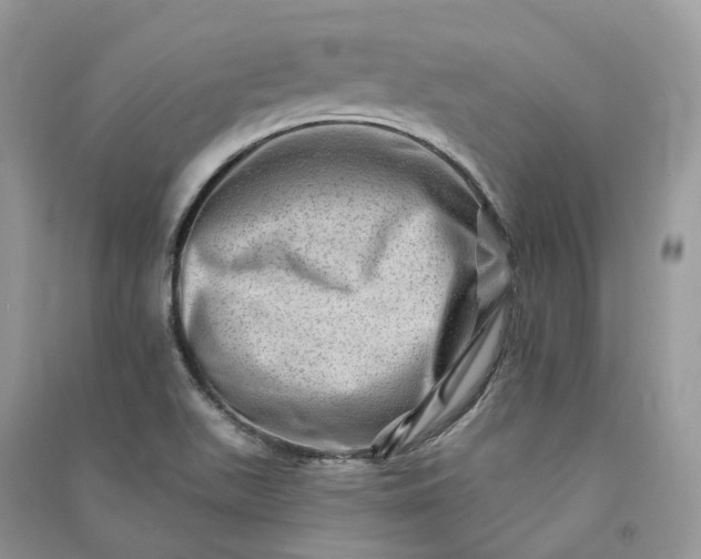 X0000090931511200708131443