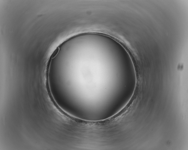 X0000090931512200708131443