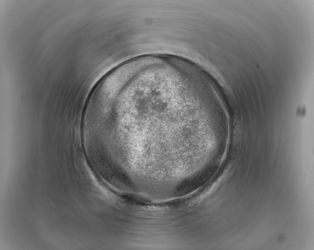 X0000090931513200708131443