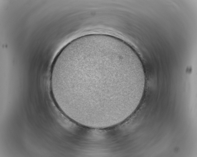 X0000090931514200708131443