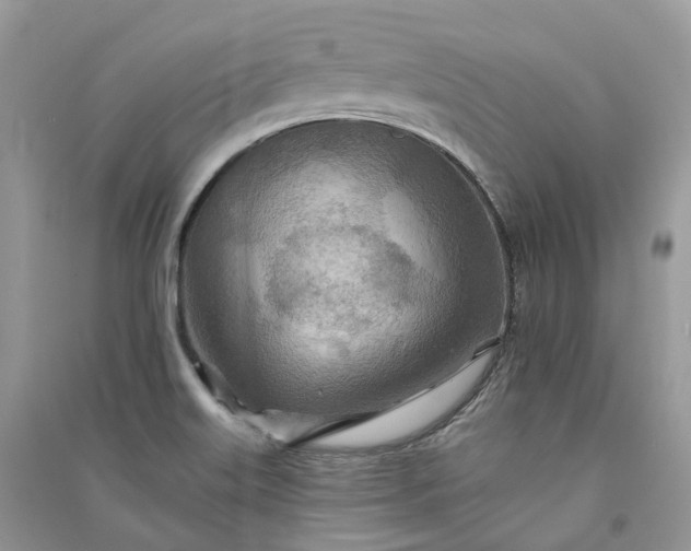 X0000090931515200708131443