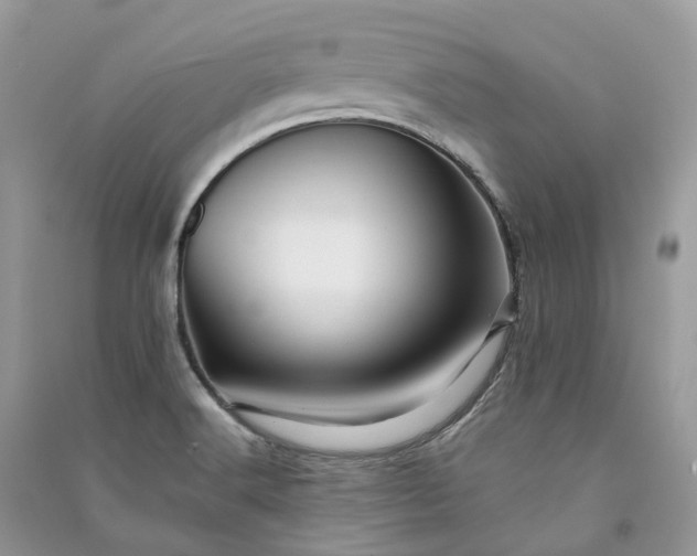 X0000090931516200708131443