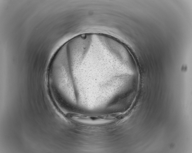 X0000090931517200708131443