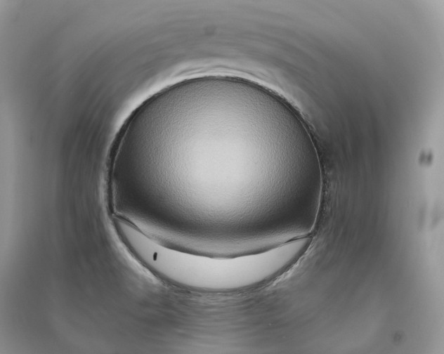 X0000090931518200708131443