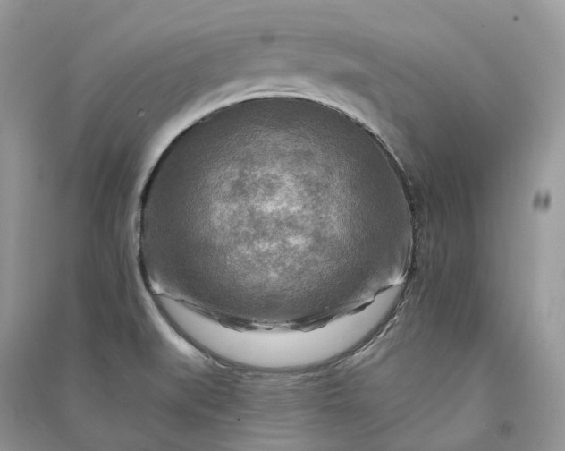 X0000090931519200708131443