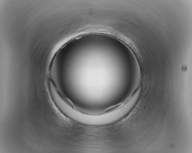 X0000090931520200708131443