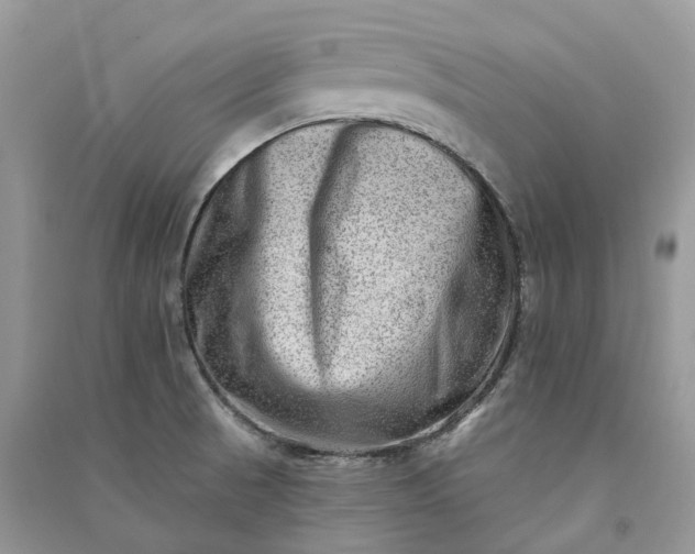 X0000090931521200708131443