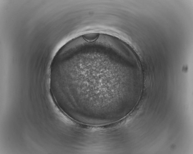 X0000090931522200708131443