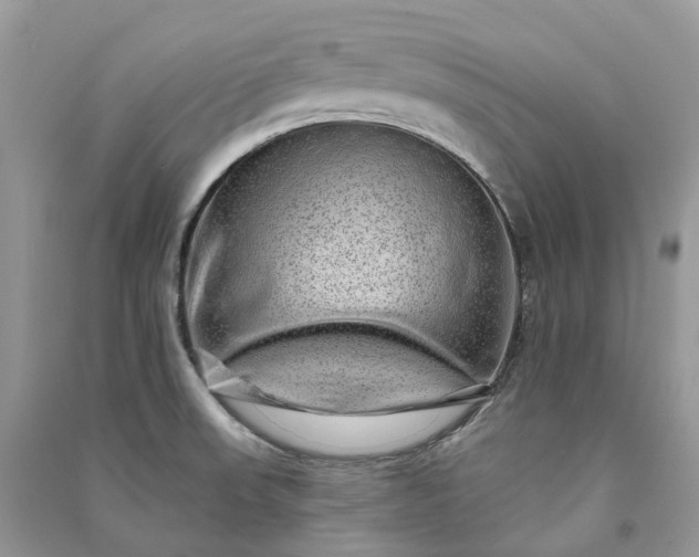 X0000090931523200708131443