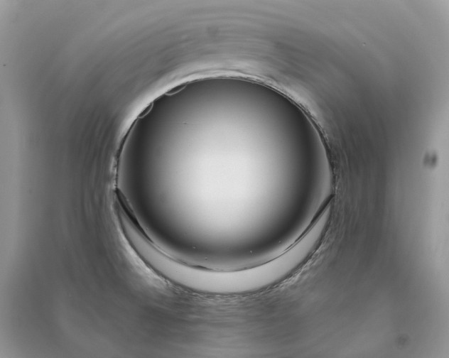 X0000090931524200708131443