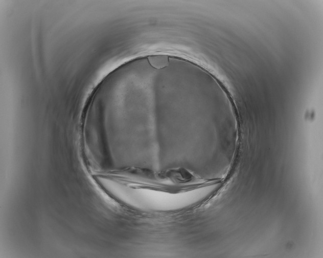 X0000090931525200708131443