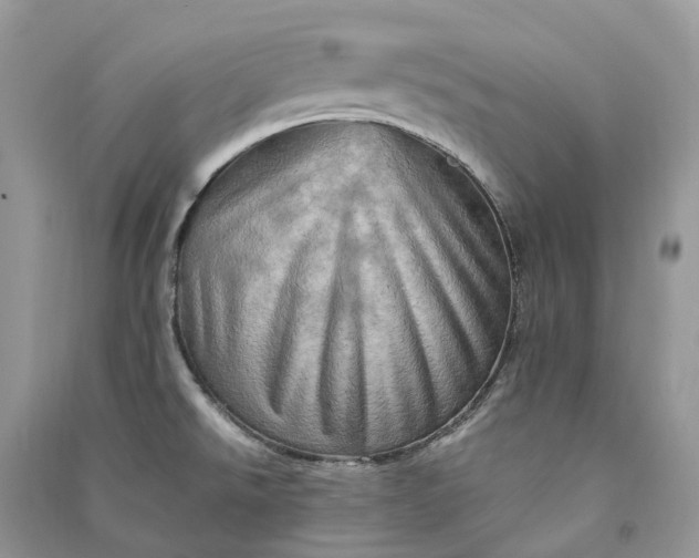 X0000090931526200708131443