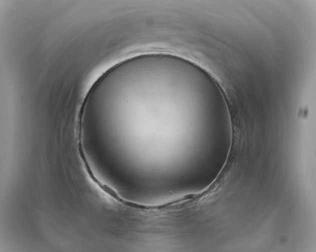 X0000090931527200708131443