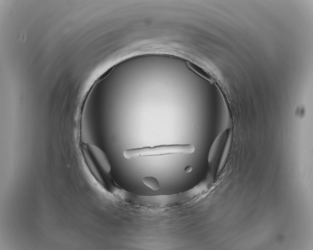 X0000090931528200708131443