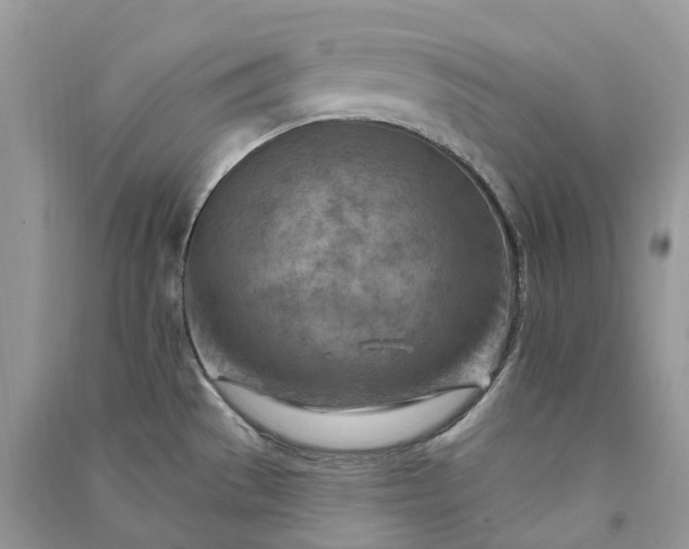 X0000090931529200708131443