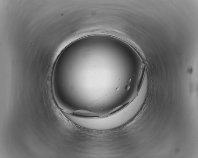 X0000090931530200708131443