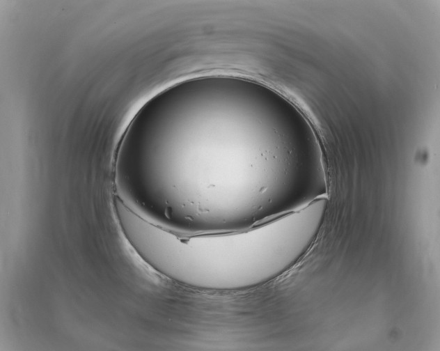 X0000090931532200708131443