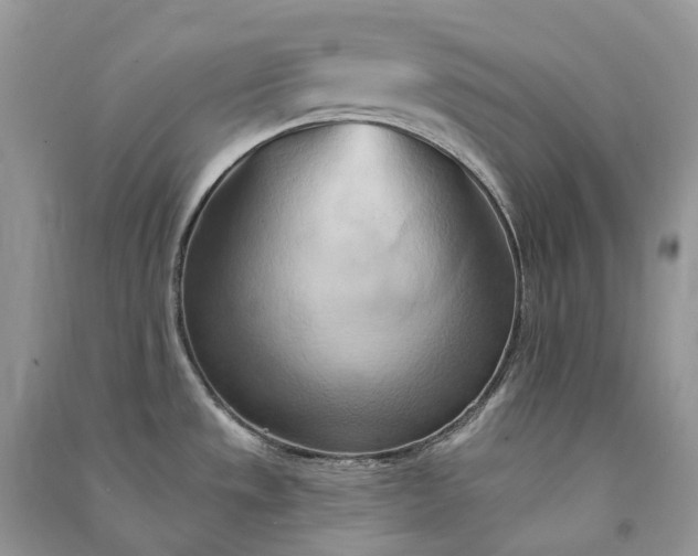 X0000090931533200708131443