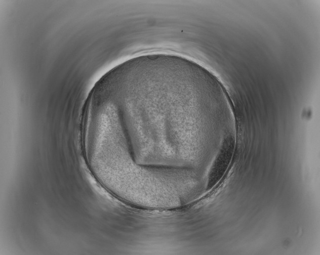 X0000090931534200708131443