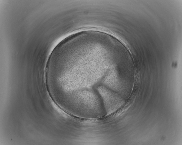 X0000090931535200708131443