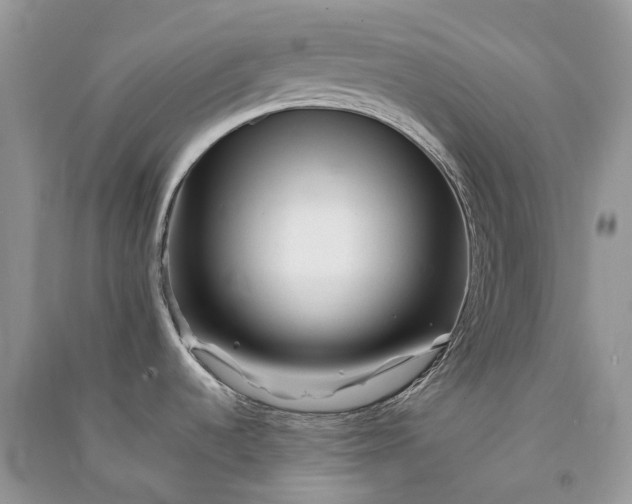 X0000090931536200708131443