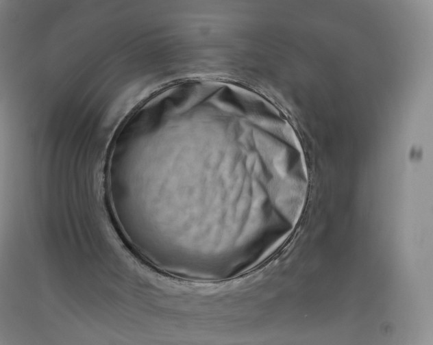 X0000090930002200708201840