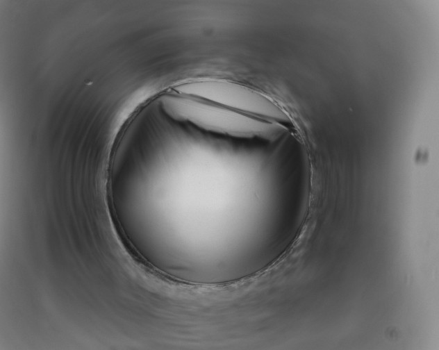 X0000090930003200708201839