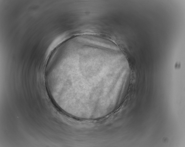 X0000090930004200708201839